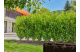 Купити Шланг Gardena Micro-Drip-System для мікрокапельного поливу, 13 мм (1/2"), 25 м (13503-20.000.00). Офіційний магазин Хускварна Україна, фірмова гарантія з доставкою по Украіні