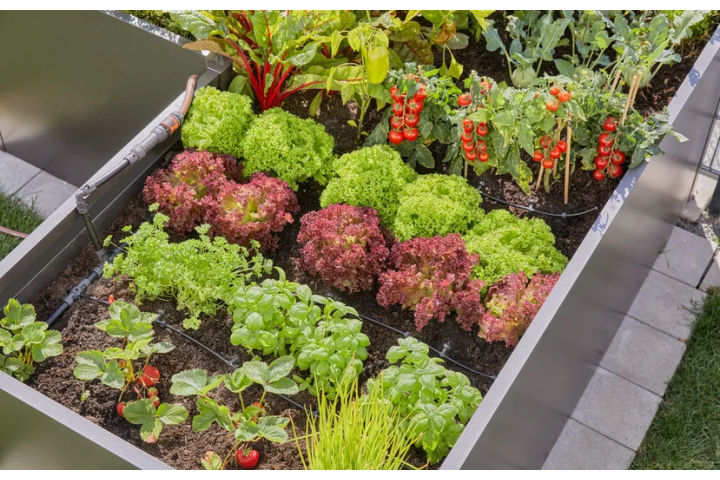 Купити Заглушка Gardena Micro-Drip-System для шлангів 4,6 мм (3/16") (комплект 10 од.) (13215-20.000.00). Офіційний магазин Хускварна Україна, фірмова гарантія з доставкою по Украіні
